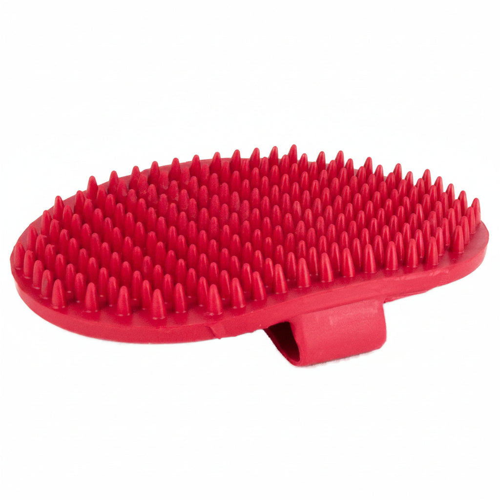 Brosse de Toilettage en Silicone pour Chien et Chat