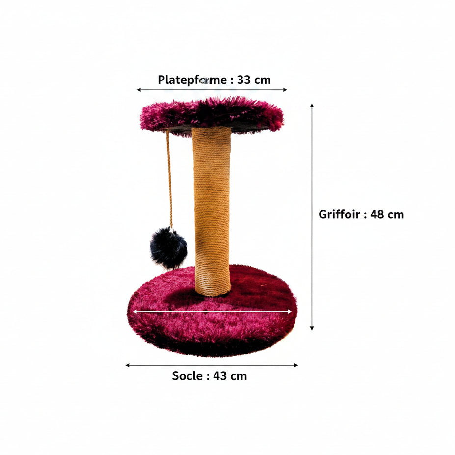 Arbre à Chat Standard — Griffoir + Plateforme