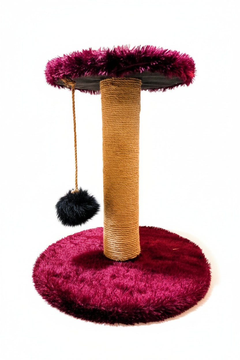 Arbre à Chat Standard — Griffoir + Plateforme