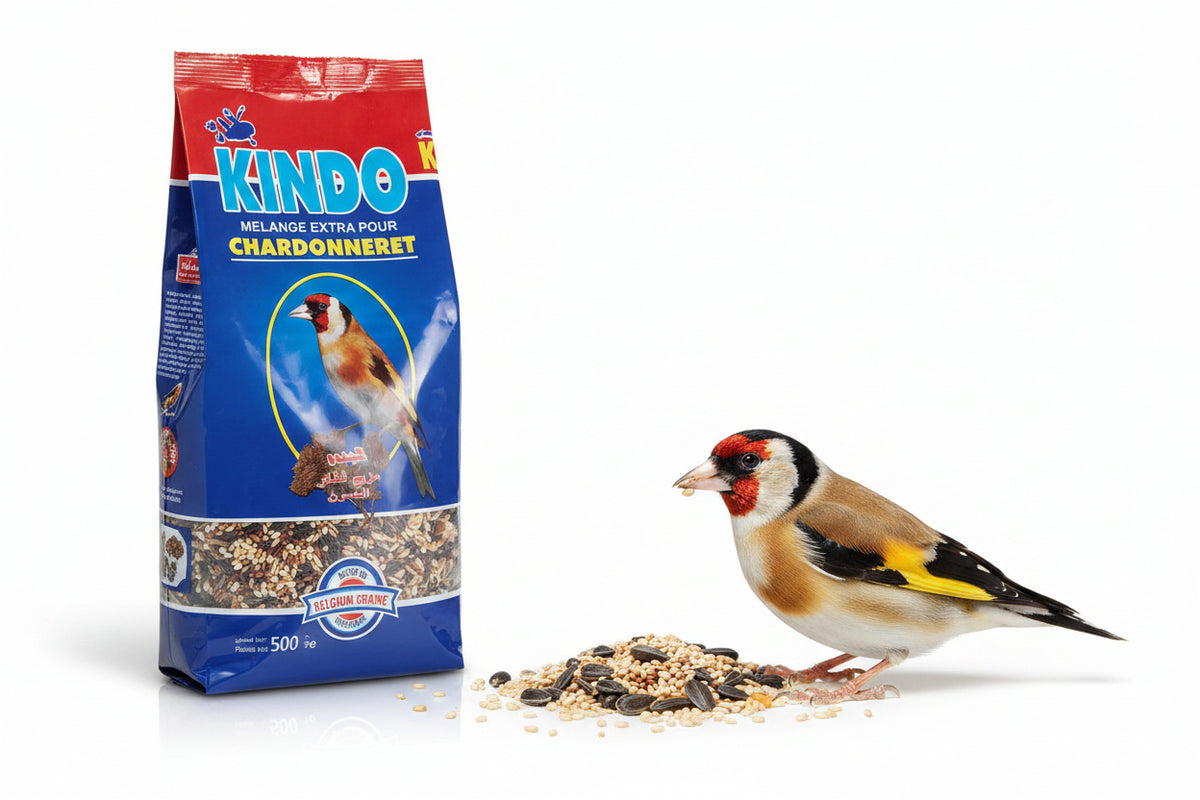 Kindo Mélange Extra pour Chardonneret – Maxi Nature Belgium Graine
