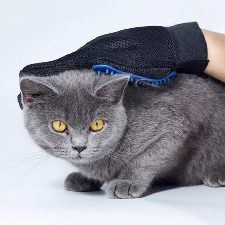 Gant de Toilettage pour Animaux – Démêlant & Massage