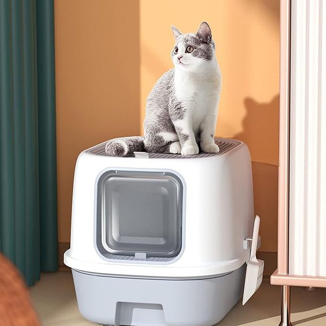 Maison de toilette fermée pour chat avec bac à litière