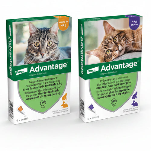 Advantage 40® et 80® – Packshot boîtes anti-puces chat et lapin