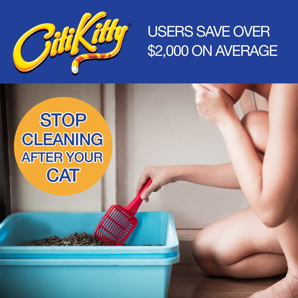 CitiKitty - Kit d'apprentissage des toilettes pour chat