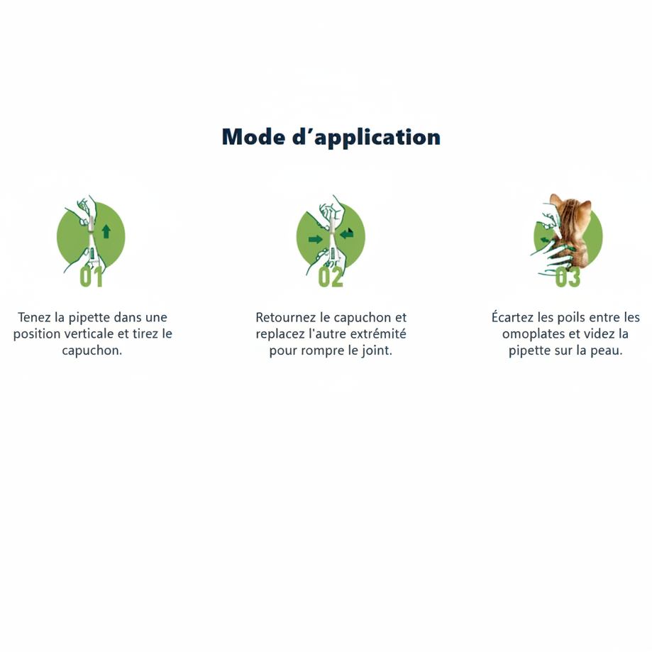 Mode d'application Advantage – 3 étapes