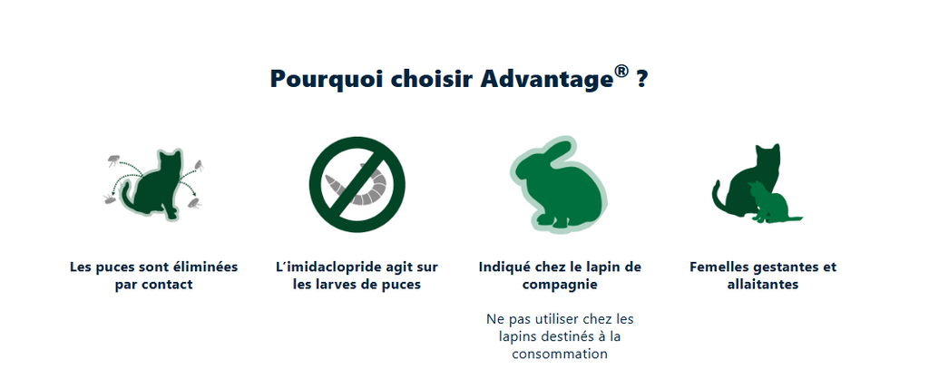 Posologie Advantage – tableau par poids et espèce