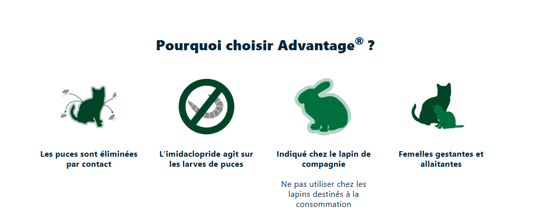Posologie Advantage – tableau par poids et espèce