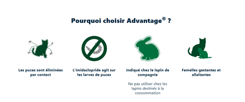 Posologie Advantage – tableau par poids et espèce