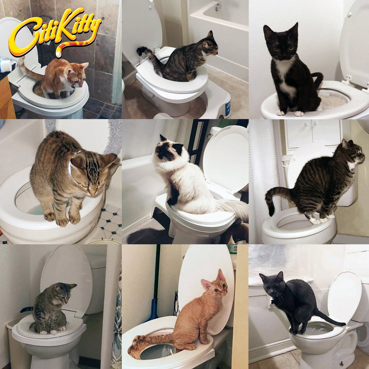 CitiKitty - Kit d'apprentissage des toilettes pour chat