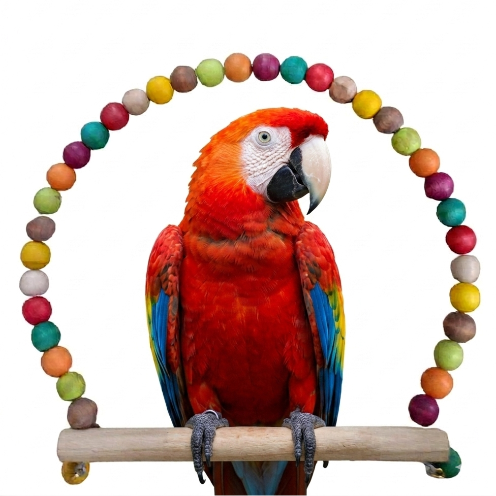 Balançoire en Perles de Bois Colorées pour Oiseaux