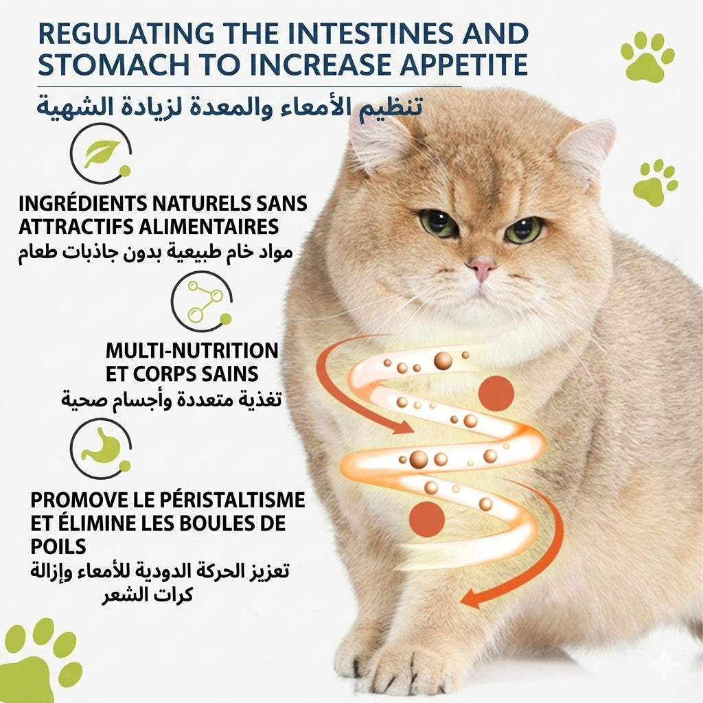 Balle de Catnip Rotative pour Chat – Jouet Mural Adhésif