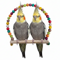 Balançoire en Perles de Bois Colorées pour Oiseaux