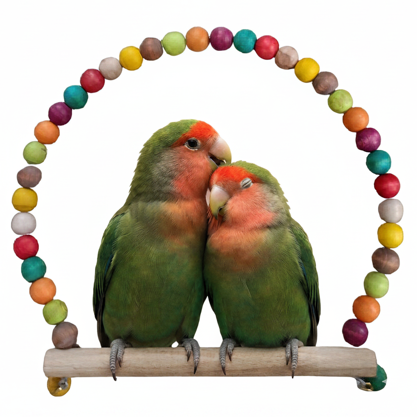 Balançoire en Perles de Bois Colorées pour Oiseaux