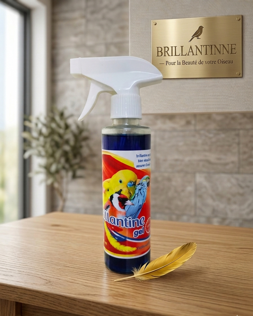 Brillantine Gel Blue Spray pour Oiseaux