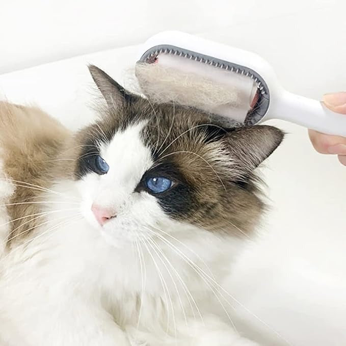 Peigne 3-en-1 pour chat - 2 couleurs vert et rose