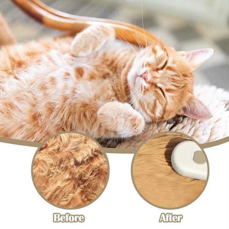 Brosse vapeur chat - utilisation