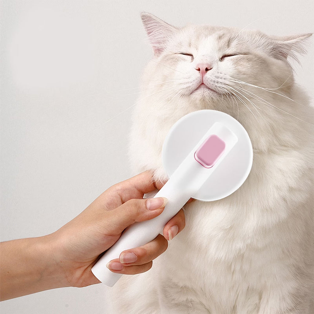 Brosse bleue utilisée sur chat blanc - vue dos