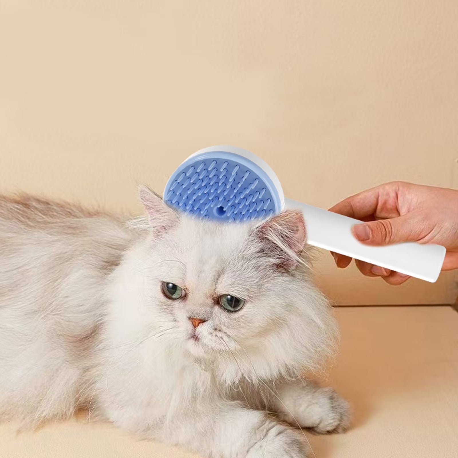 Brosse bleue sur chat persan - vue de côté