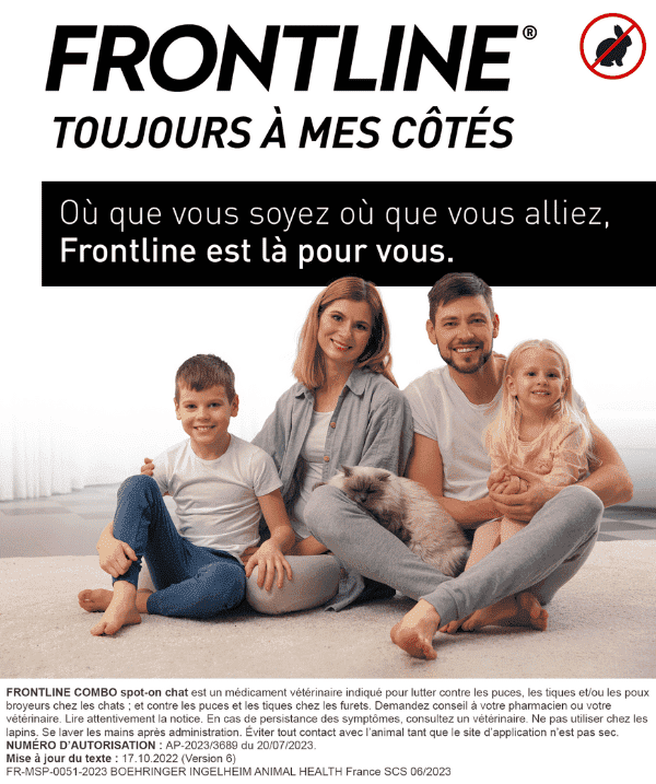 Frontline Combo Spot-On Chat – Antiparasitaire 3 pipettes