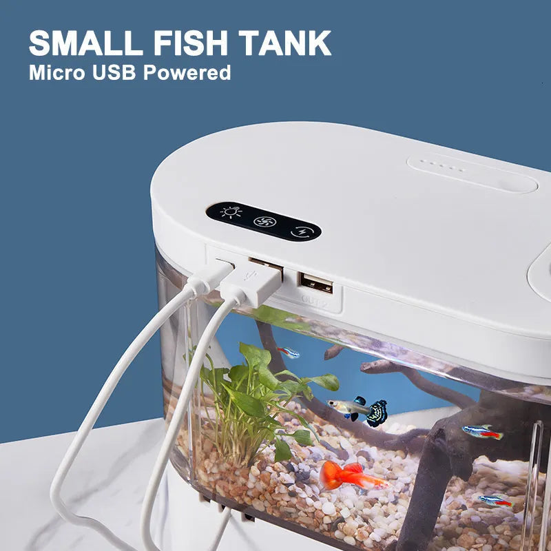 Mini Aquarium de Bureau 4L – Filtration & LED Multicolore