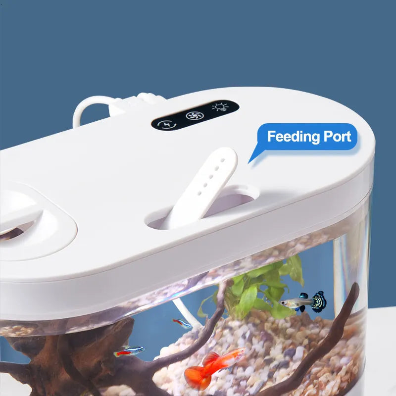 Mini Aquarium de Bureau 4L – Filtration & LED Multicolore